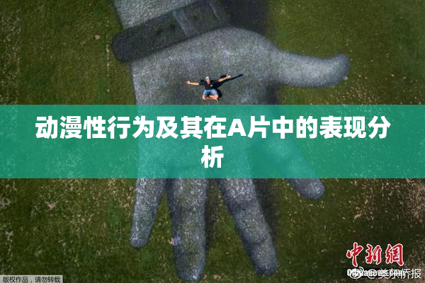 动漫性行为及其在A片中的表现分析
