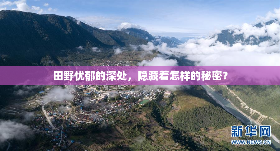 田野忧郁的深处，隐藏着怎样的秘密？