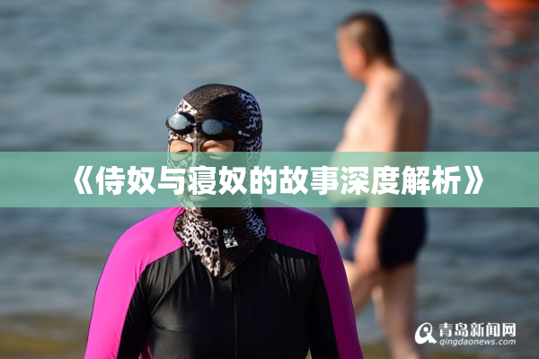 《侍奴与寝奴的故事深度解析》
