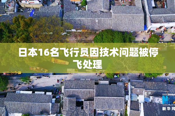 日本16名飞行员因技术问题被停飞处理