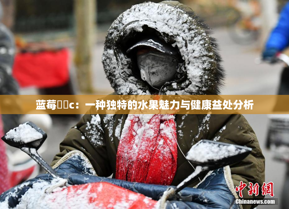 蓝莓❌‌c：一种独特的水果魅力与健康益处分析
