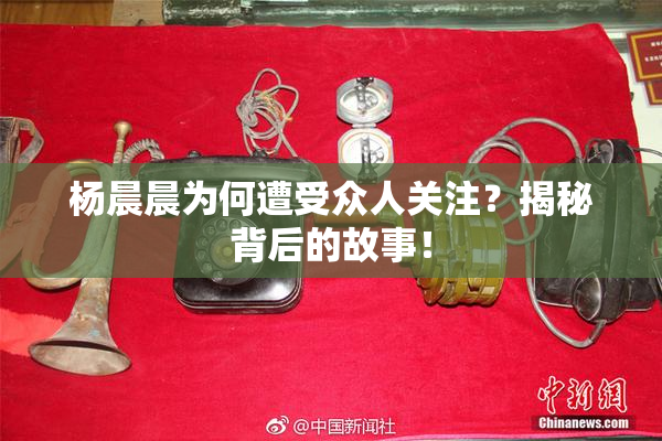 杨晨晨为何遭受众人关注？揭秘背后的故事！