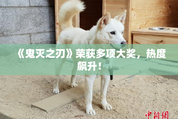 《鬼灭之刃》荣获多项大奖，热度飙升！