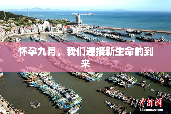 怀孕九月，我们迎接新生命的到来