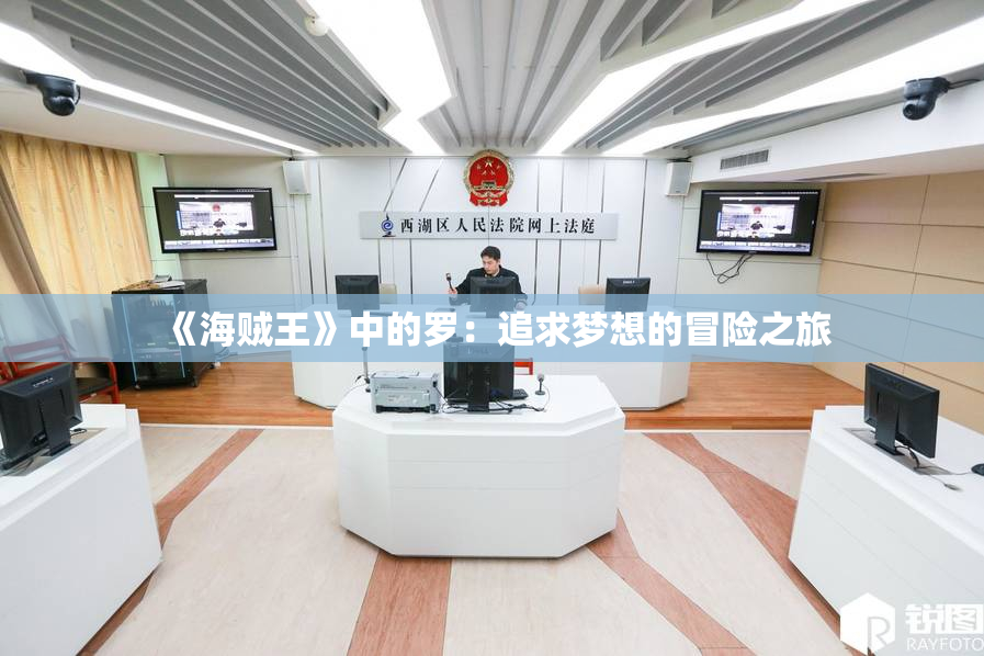 《海贼王》中的罗：追求梦想的冒险之旅