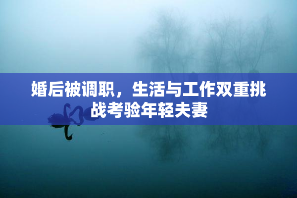 婚后被调职，生活与工作双重挑战考验年轻夫妻