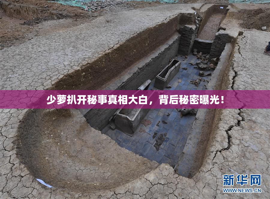 少萝扒开秘事真相大白，背后秘密曝光！