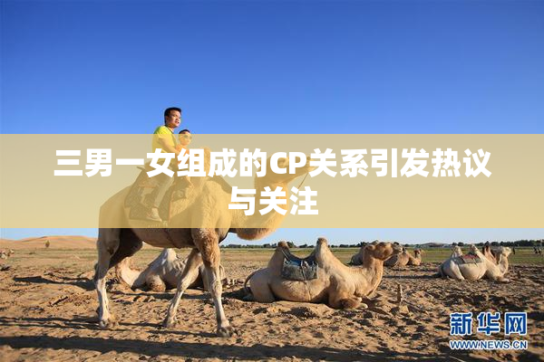 三男一女组成的CP关系引发热议与关注