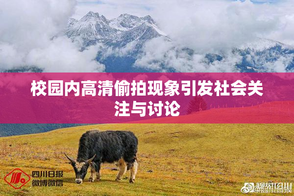 校园内高清偷拍现象引发社会关注与讨论