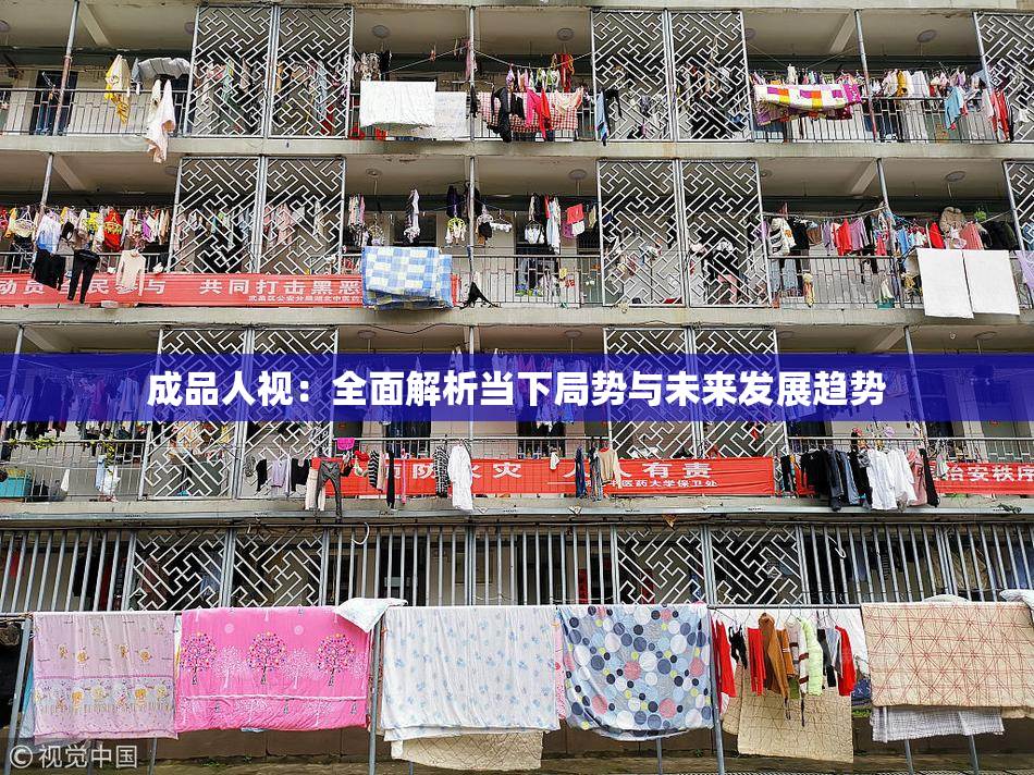 成品人视：全面解析当下局势与未来发展趋势