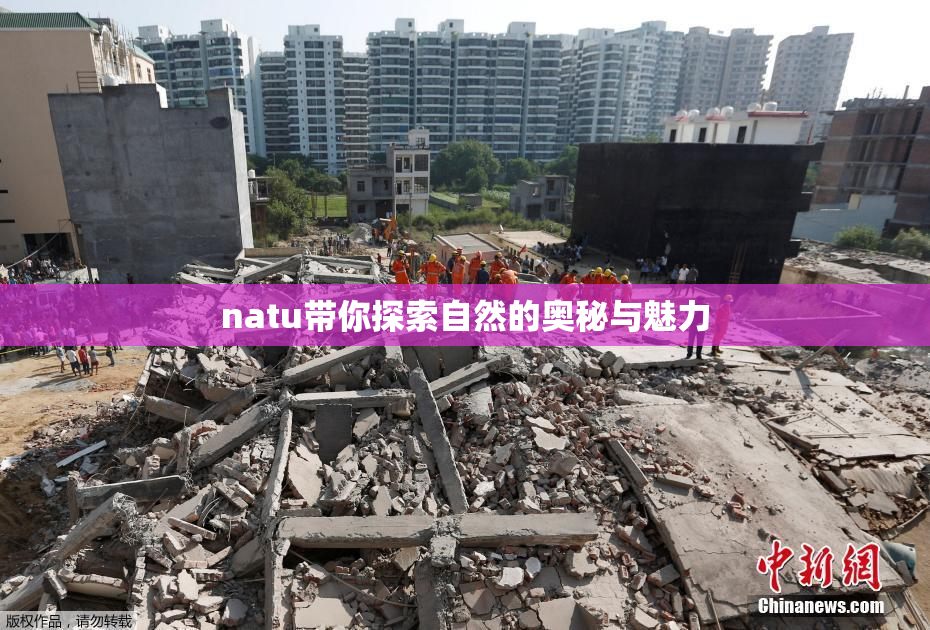 natu带你探索自然的奥秘与魅力