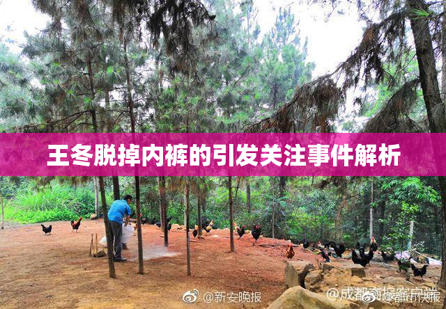 王冬脱掉内裤的引发关注事件解析