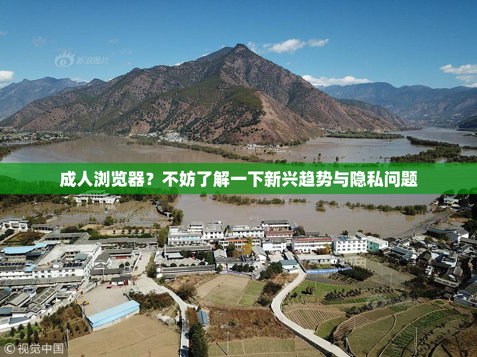 成人浏览器？不妨了解一下新兴趋势与隐私问题