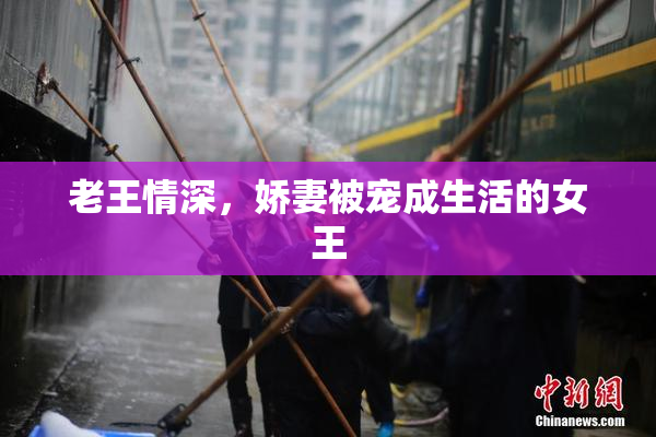 老王情深，娇妻被宠成生活的女王