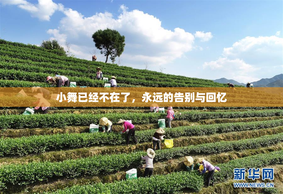 小舞已经不在了，永远的告别与回忆