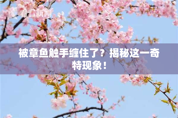 被章鱼触手缠住了？揭秘这一奇特现象！