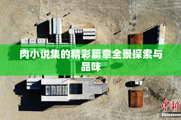 肉小说集的精彩篇章全景探索与品味