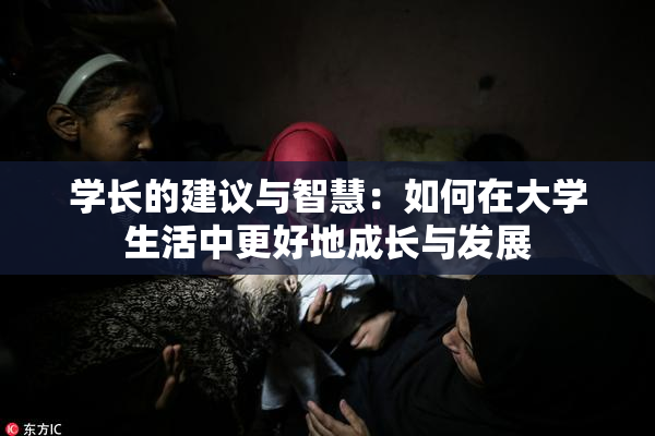 学长的建议与智慧：如何在大学生活中更好地成长与发展