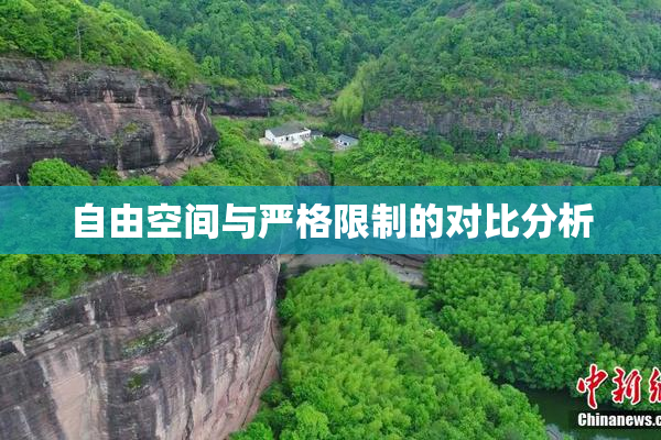 自由空间与严格限制的对比分析