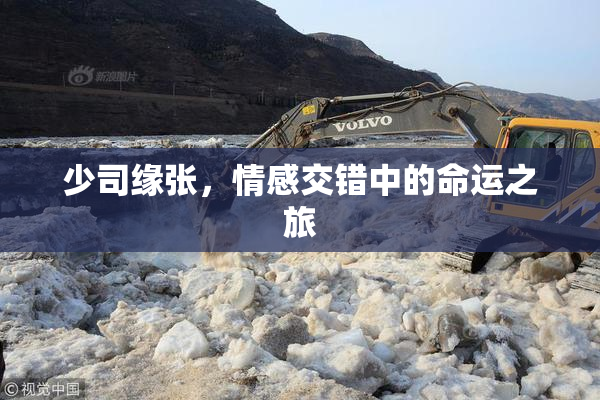 少司缘张，情感交错中的命运之旅