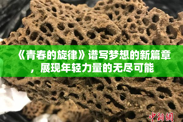 《青春的旋律》谱写梦想的新篇章，展现年轻力量的无尽可能