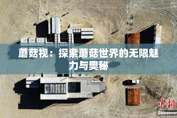 蘑菇视：探索蘑菇世界的无限魅力与奥秘