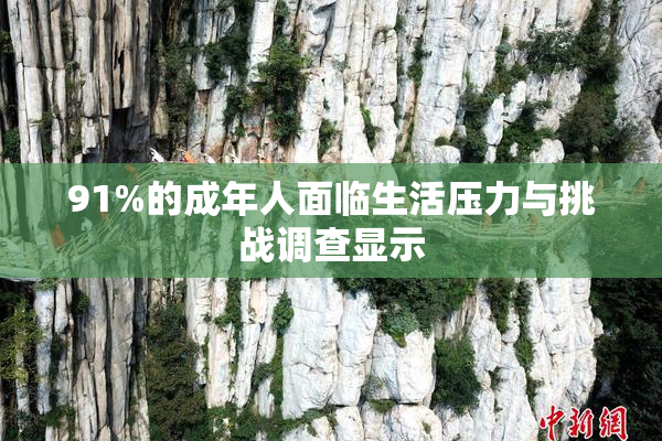 91%的成年人面临生活压力与挑战调查显示