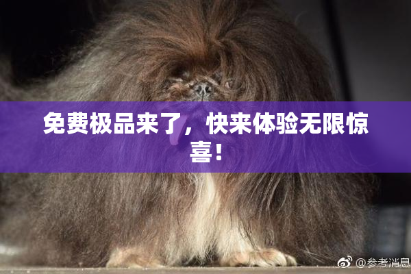 免费极品来了，快来体验无限惊喜！