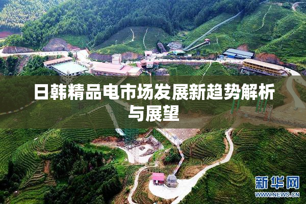日韩精品电市场发展新趋势解析与展望