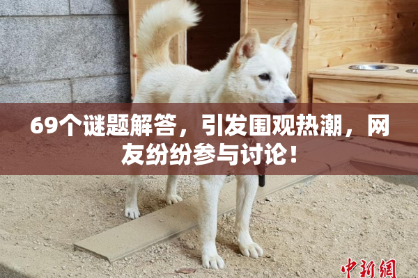 69个谜题解答，引发围观热潮，网友纷纷参与讨论！