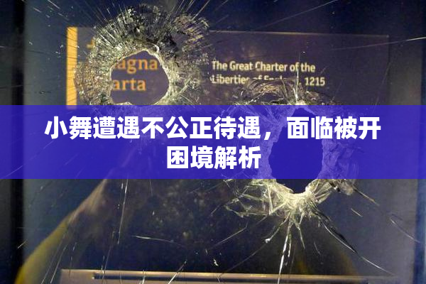 小舞遭遇不公正待遇，面临被开困境解析