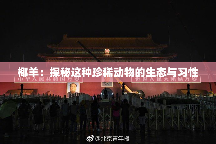 椰羊：探秘这种珍稀动物的生态与习性