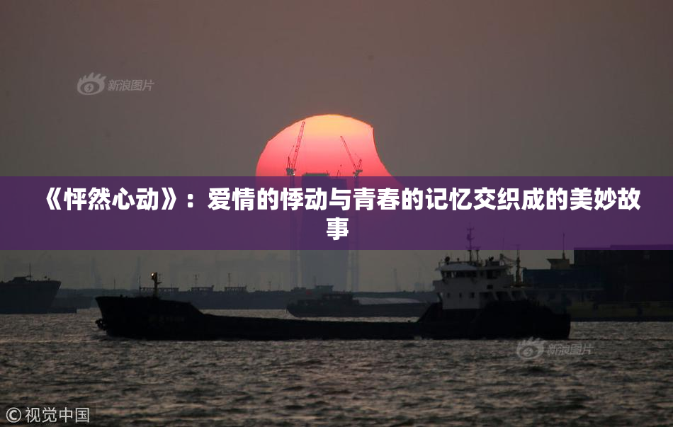 《怦然心动》：爱情的悸动与青春的记忆交织成的美妙故事