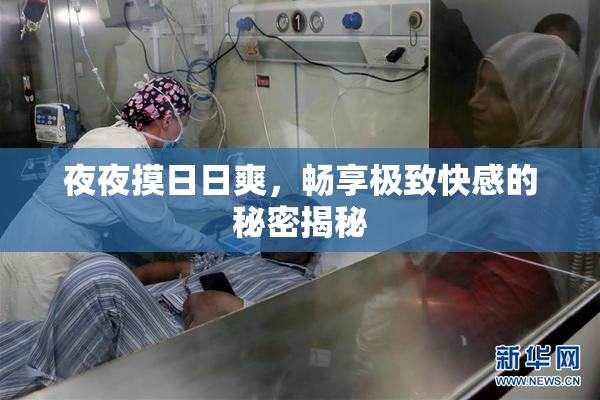 夜夜摸日日爽，畅享极致快感的秘密揭秘