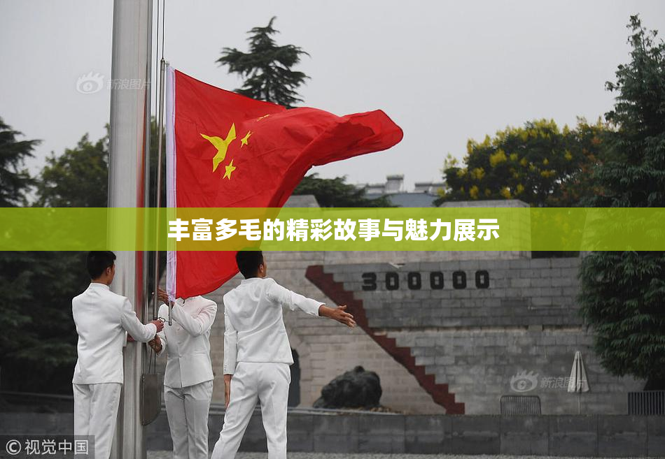 丰富多毛的精彩故事与魅力展示