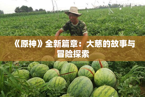 《原神》全新篇章：大慈的故事与冒险探索
