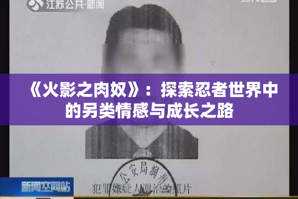 《火影之肉奴》：探索忍者世界中的另类情感与成长之路