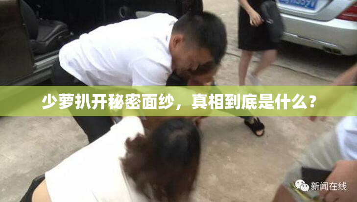 少萝扒开秘密面纱，真相到底是什么？