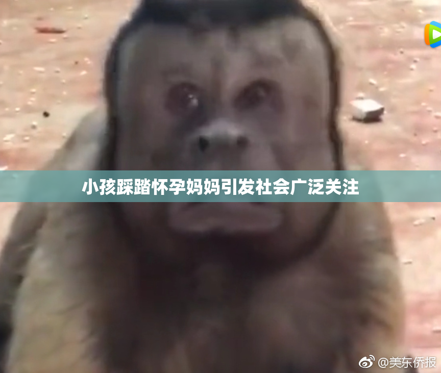 小孩踩踏怀孕妈妈引发社会广泛关注