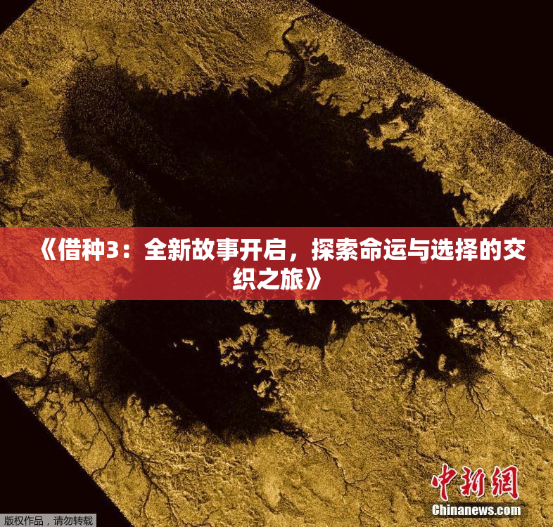 《借种3：全新故事开启，探索命运与选择的交织之旅》