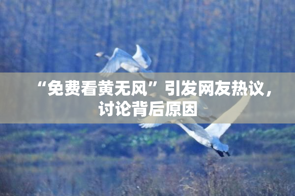 “免费看黄无风”引发网友热议，讨论背后原因