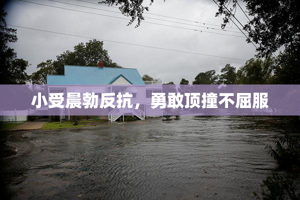 小受晨勃反抗，勇敢顶撞不屈服