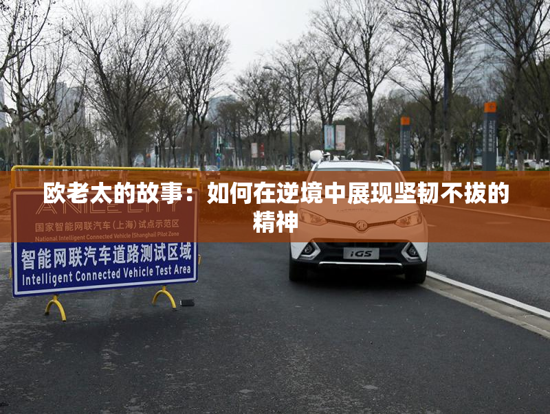 欧老太的故事：如何在逆境中展现坚韧不拔的精神