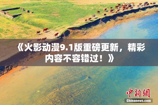 《火影动漫9.1版重磅更新，精彩内容不容错过！》