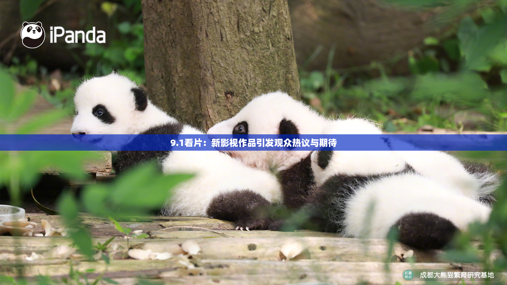9.1看片：新影视作品引发观众热议与期待