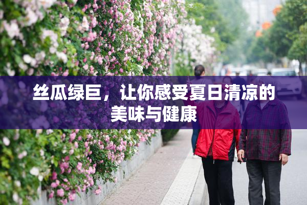 丝瓜绿巨，让你感受夏日清凉的美味与健康