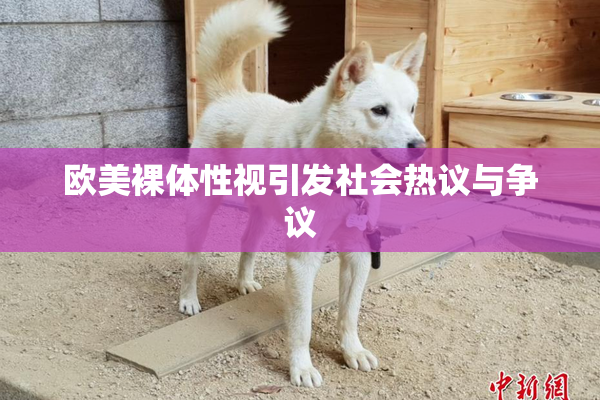 欧美裸体性视引发社会热议与争议