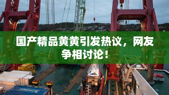 国产精品黄黄引发热议，网友争相讨论！