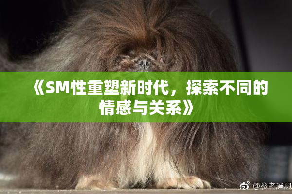 《SM性重塑新时代，探索不同的情感与关系》