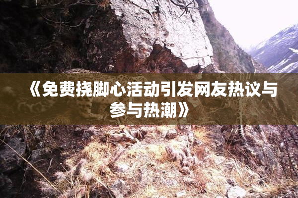 《免费挠脚心活动引发网友热议与参与热潮》